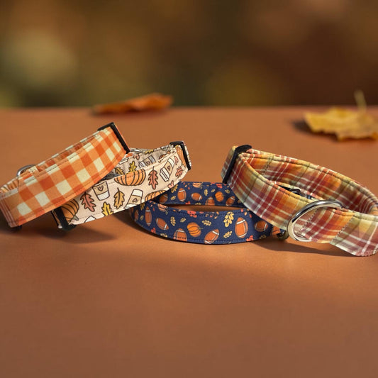 Fall Inspired Dog Collars