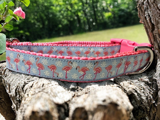 Pink Flamingos Dog Collar