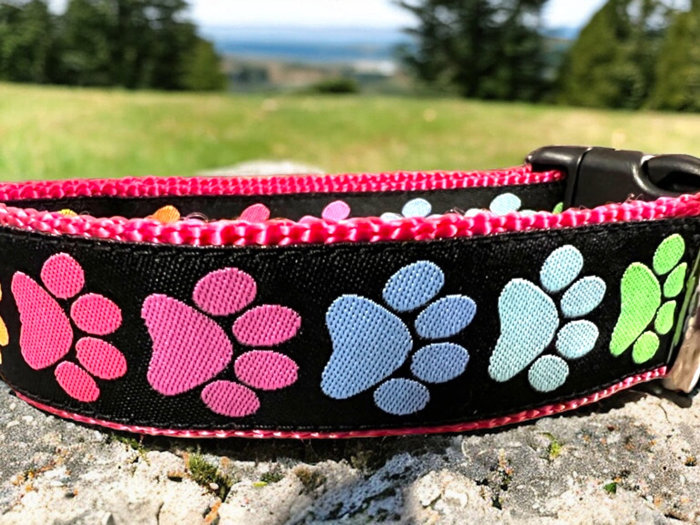 Doggy Paws Dog Collar/Colorful Paw Prints/Rainbow of Colors
