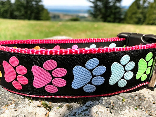 Doggy Paws Dog Collar/Colorful Paw Prints/Rainbow of Colors