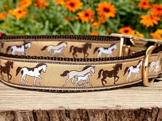 Horse Print Dog Collar: Handmade Jacquard Ribbon, Heavyweight Nylon - Winni&Me Woofwear