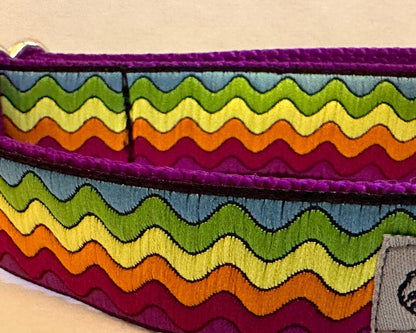 A Wave of Color Dog Collar
