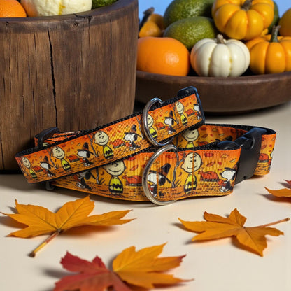 Americas Favorite Beagle Celebrates Thanksgiving - Dog Collars - Winni&Me Woofwear
