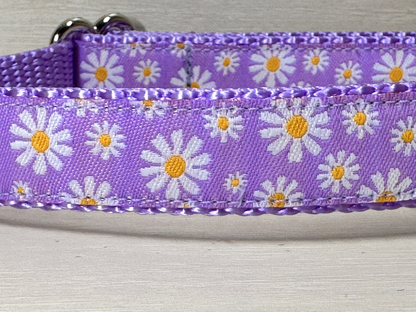 Spring Daisies Dog Collar