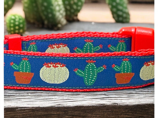 Succulent Dog Collar - Winni&Me Woofwear