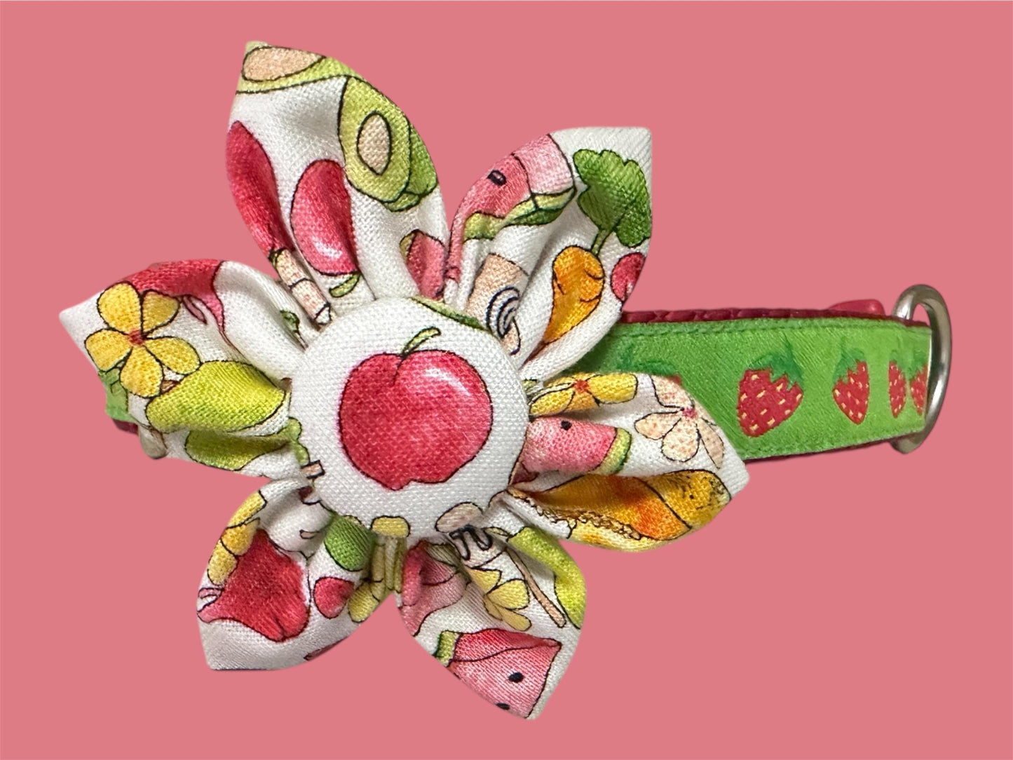Strawberry Fields Forever Dog Collar