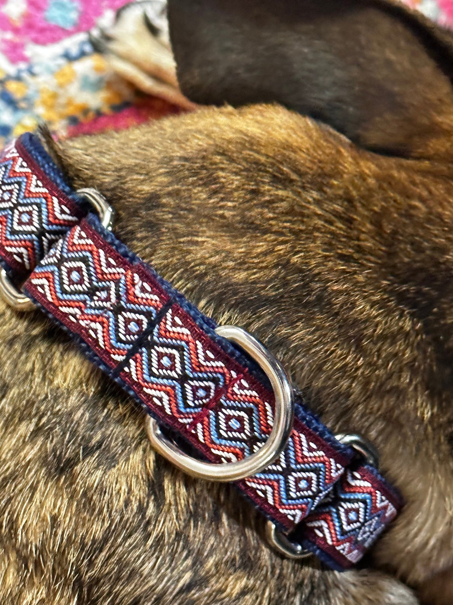 Boho Martingale Dog Collar