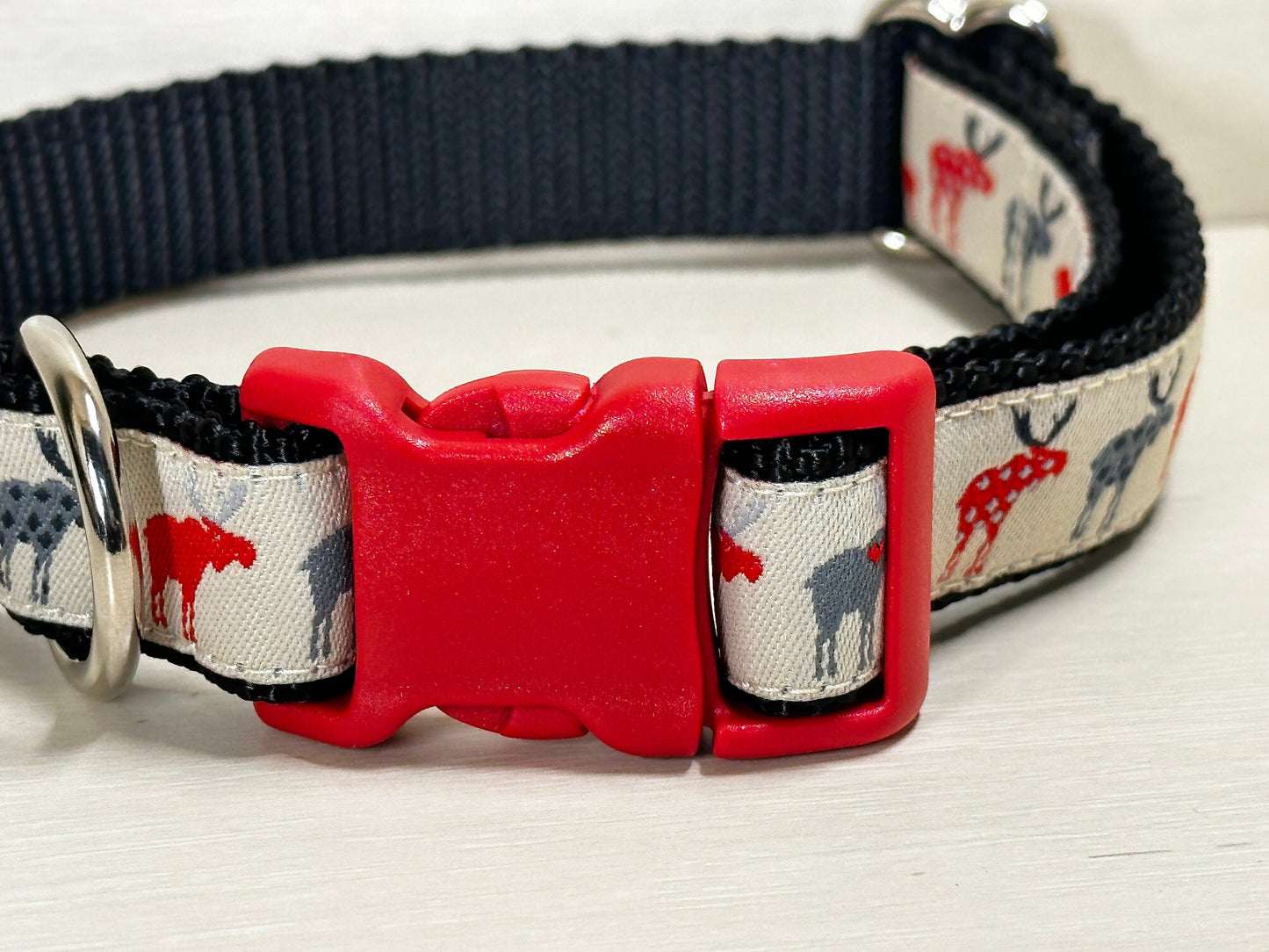 Moose on the Loose Dog Collar/Moose/Outdoors & Wildlife