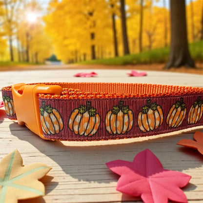 Pumpkin Patch Dog Collar/Fall Pumpkins/Autumn Accessories