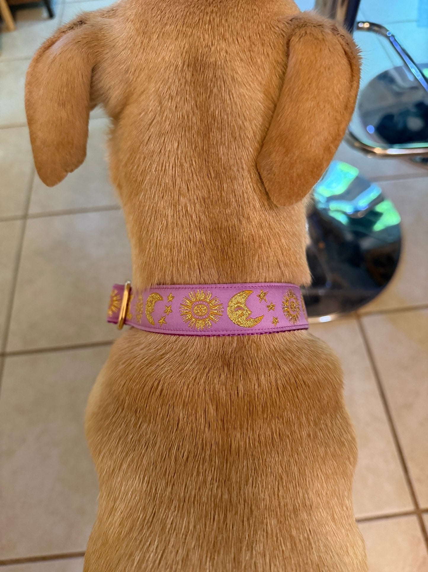 Celestial Moon and Sun on Purple Dog Collar (Optional Personalized Engraved Metal Buckle) - Dog Collars - Winni&Me Woofwear