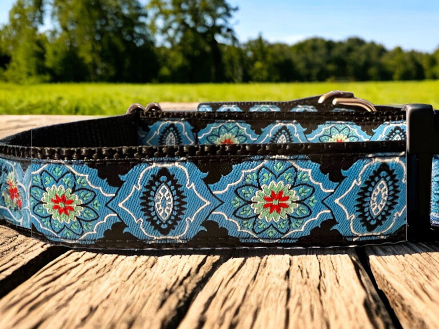 Blue dog collar and Optional 6ft leash