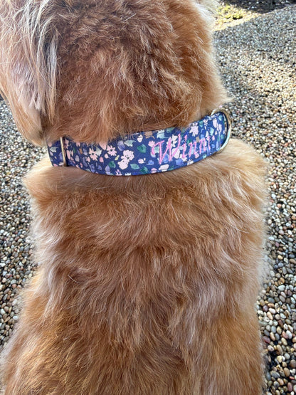 Dog sitting on the grass with the blue meadow dog collar in, it has her name embroidered on the collar in pink