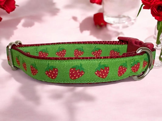 Strawberry Fields Forever Dog Collar - Winni&Me Woofwear