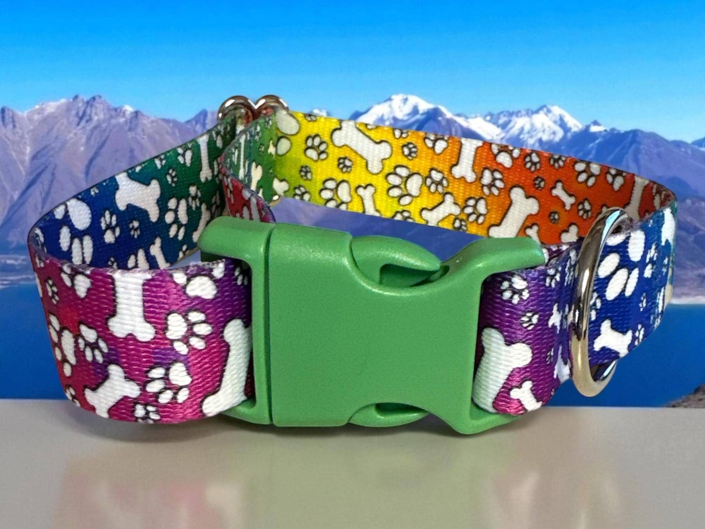 Colorful Rainbow Dog Collar with Bones & Paws