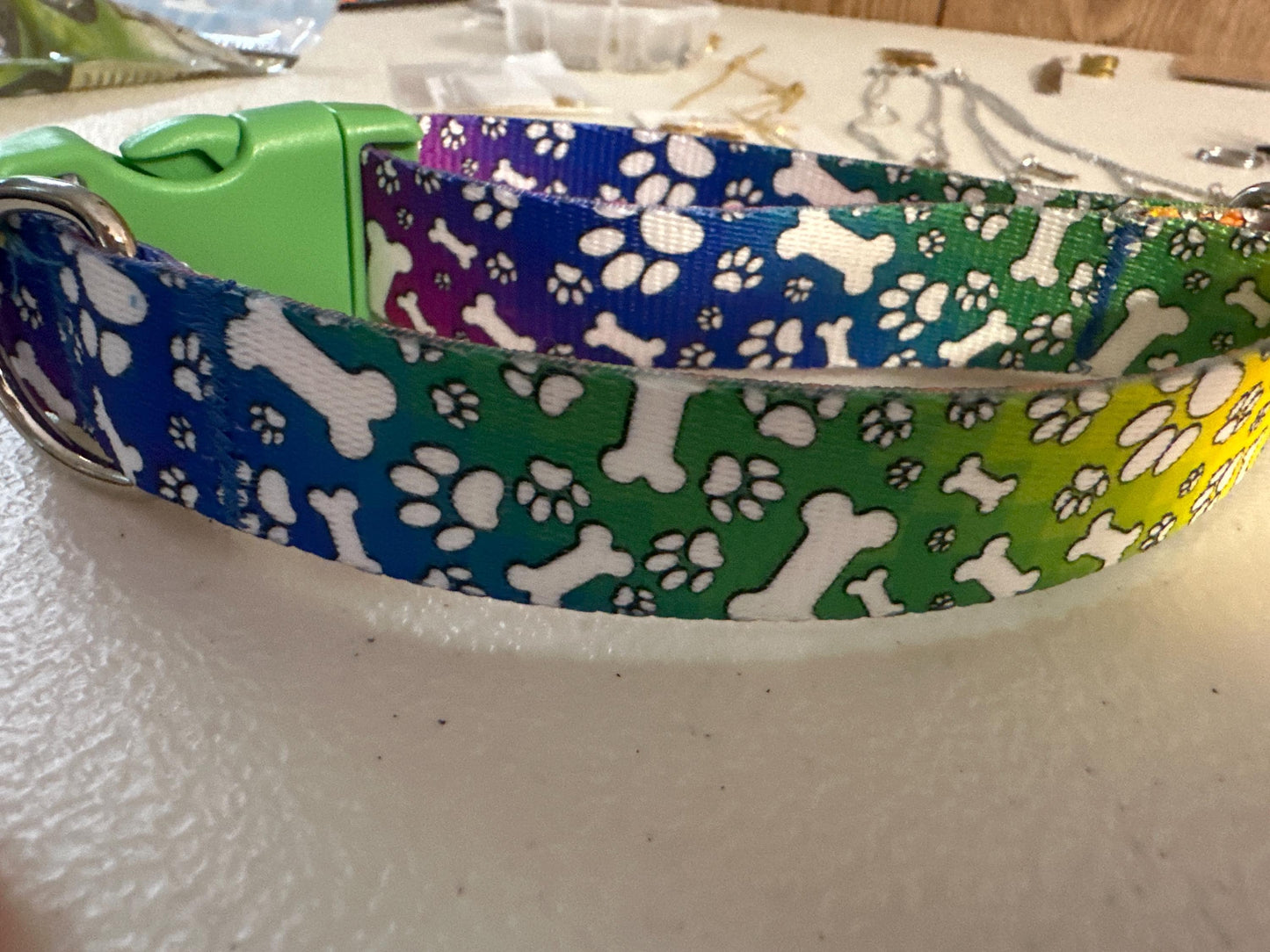 Colorful Rainbow Dog Collar with Bones & Paws