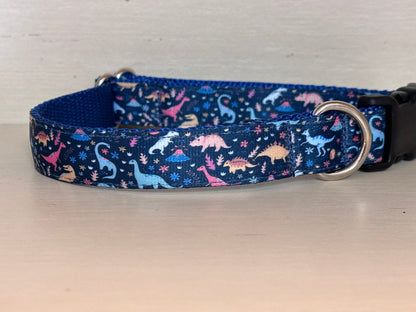 Dinasours Dog Collar/Printed Webbing Collar/3/4 Inch Collar