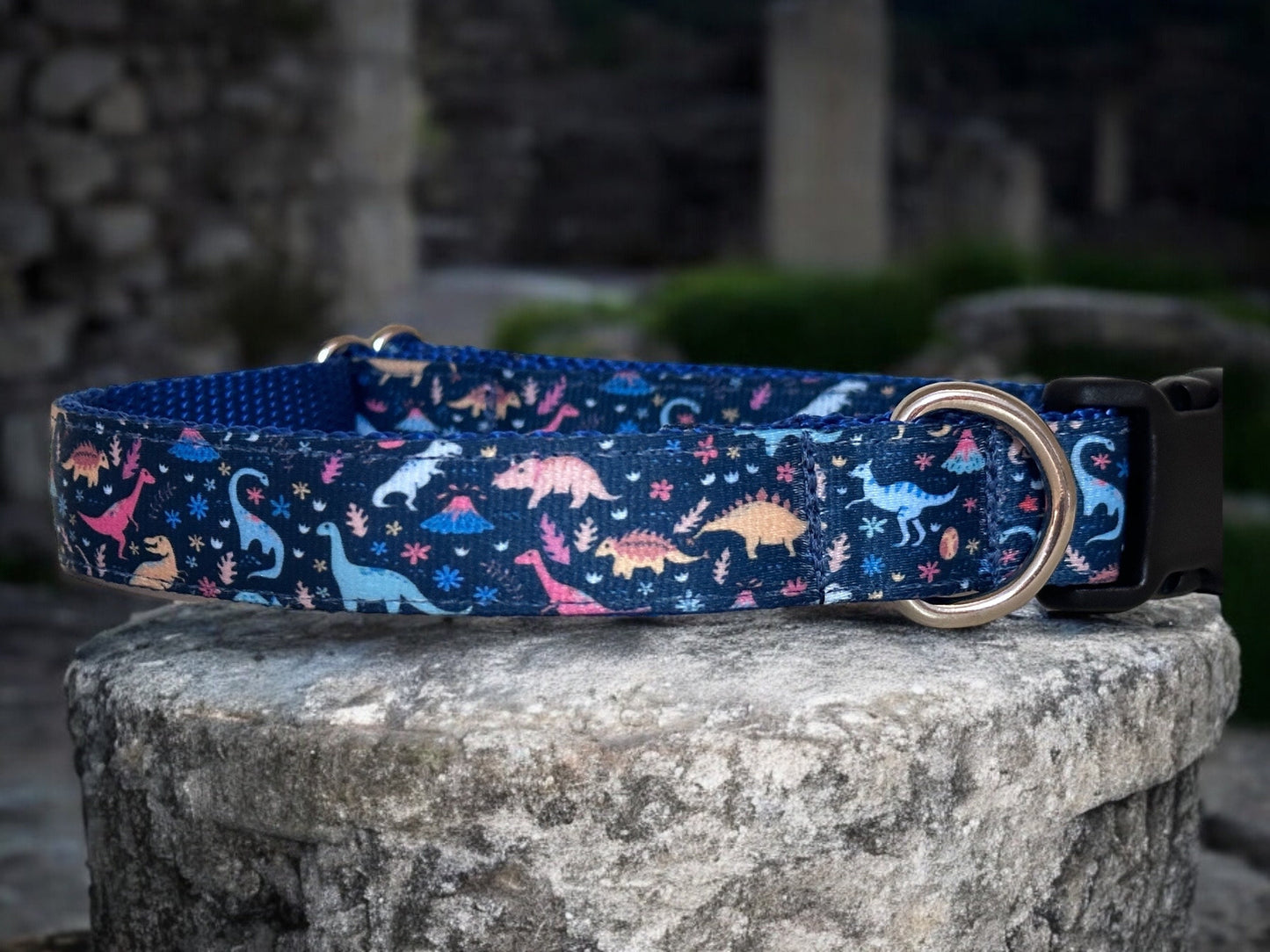 Dinasours Dog Collar/Printed Webbing Collar/3/4 Inch Collar