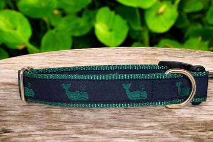 A Whale of a Good Time Dog Collar