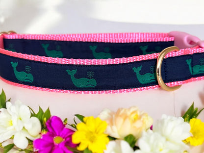 A Whale of a Good Time Dog Collar