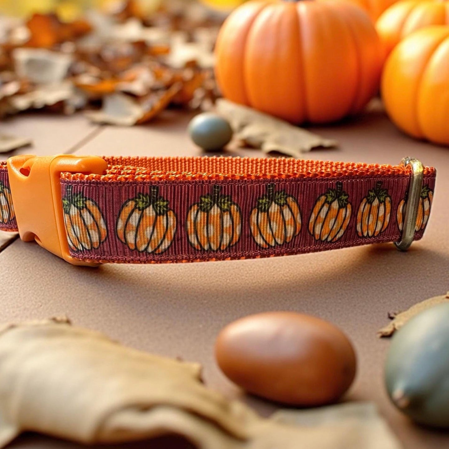 Pumpkin Patch Dog Collar/Fall Pumpkins/Autumn Accessories