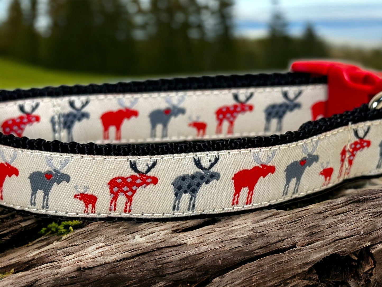 Moose on the Loose Dog Collar/Moose/Outdoors & Wildlife