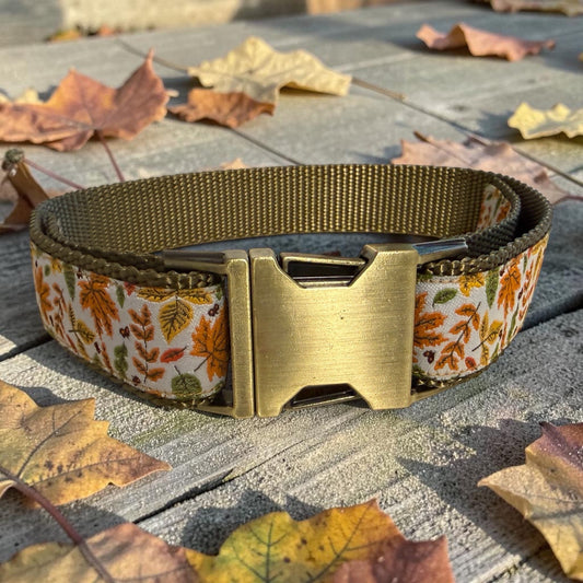 Falling Leaves Dog Collar; Exclusive Winni&Me Pattern - Dog Collars - Winni&Me Woofwear