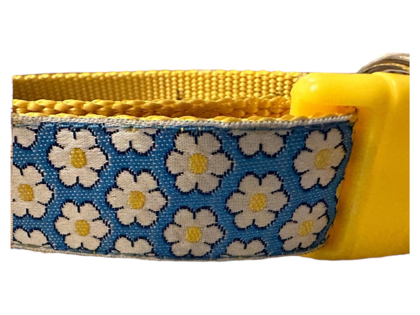 Daisy's Dog Collar - Winni&Me Woofwear