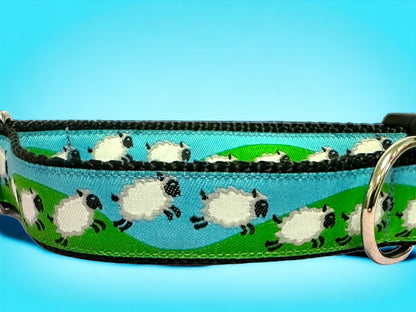 Counting Sheep Dog Collar/Spring Colors