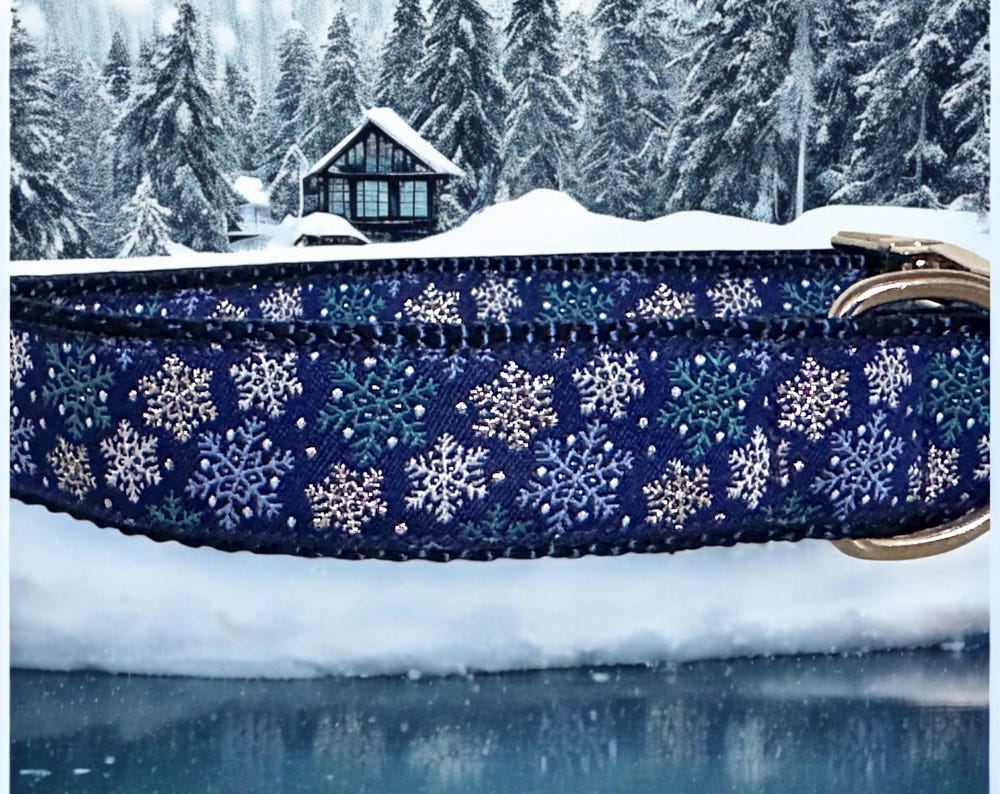 Winter Wonderland Dog Collar