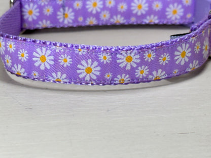 Wide Daisy Dog Collar/1.5 inch Width - Winni&Me Woofwear