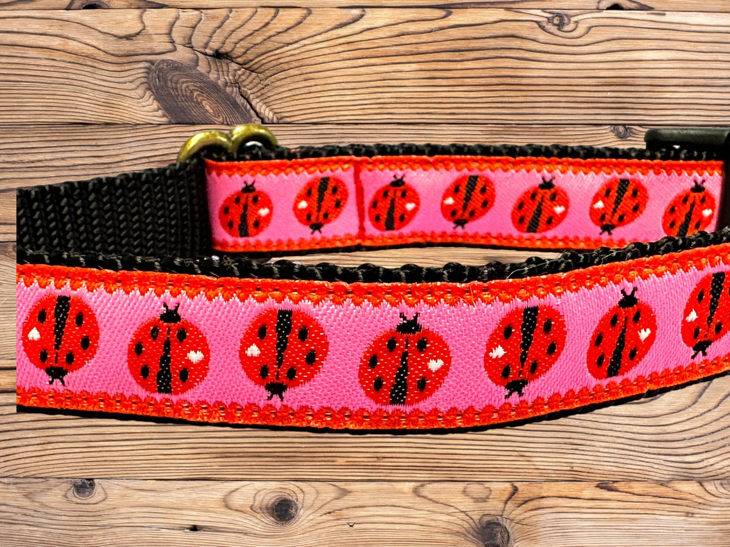 Lady Bug Dog Collar