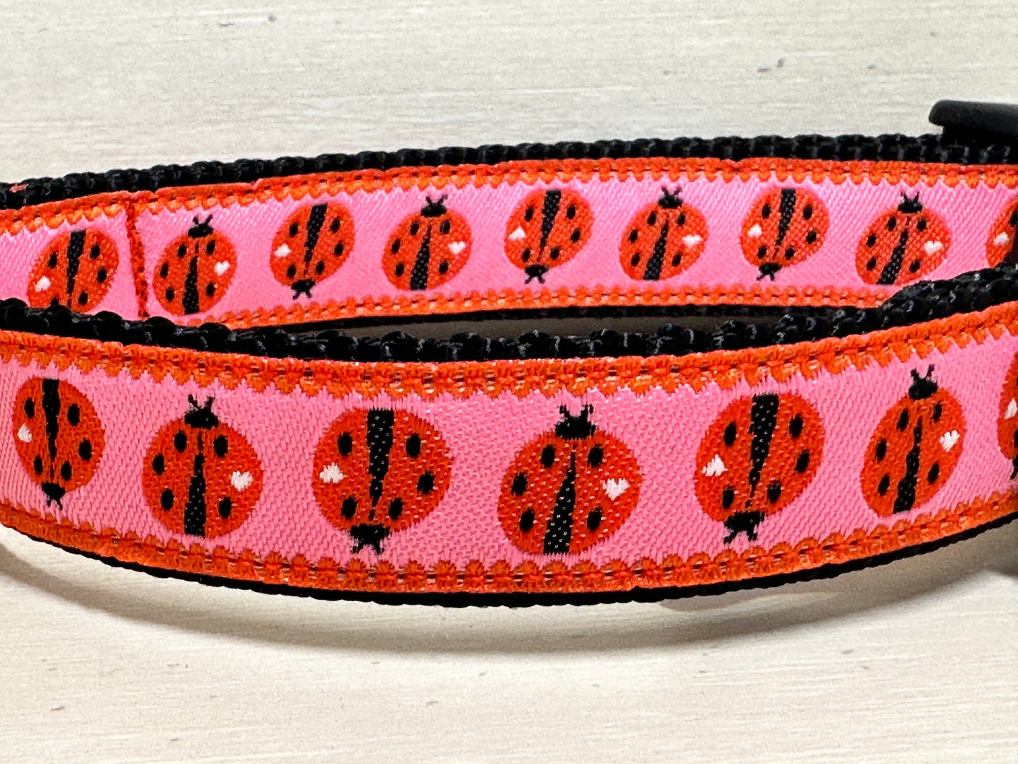 Lady Bug Dog Collar