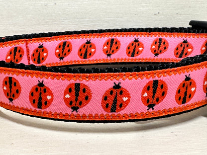 Lady Bug Dog Collar