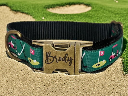 Green collar with pink golf cart and a hole in one, with a brass buckle with pups name on it, sitting on a golf course