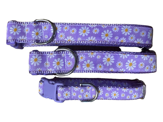 Wide Daisy Dog Collar/1.5 inch Width - Winni&Me Woofwear