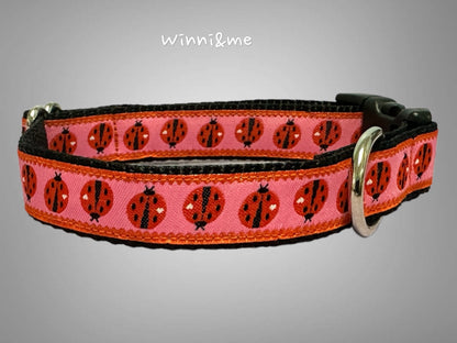 Lady Bug Dog Collar