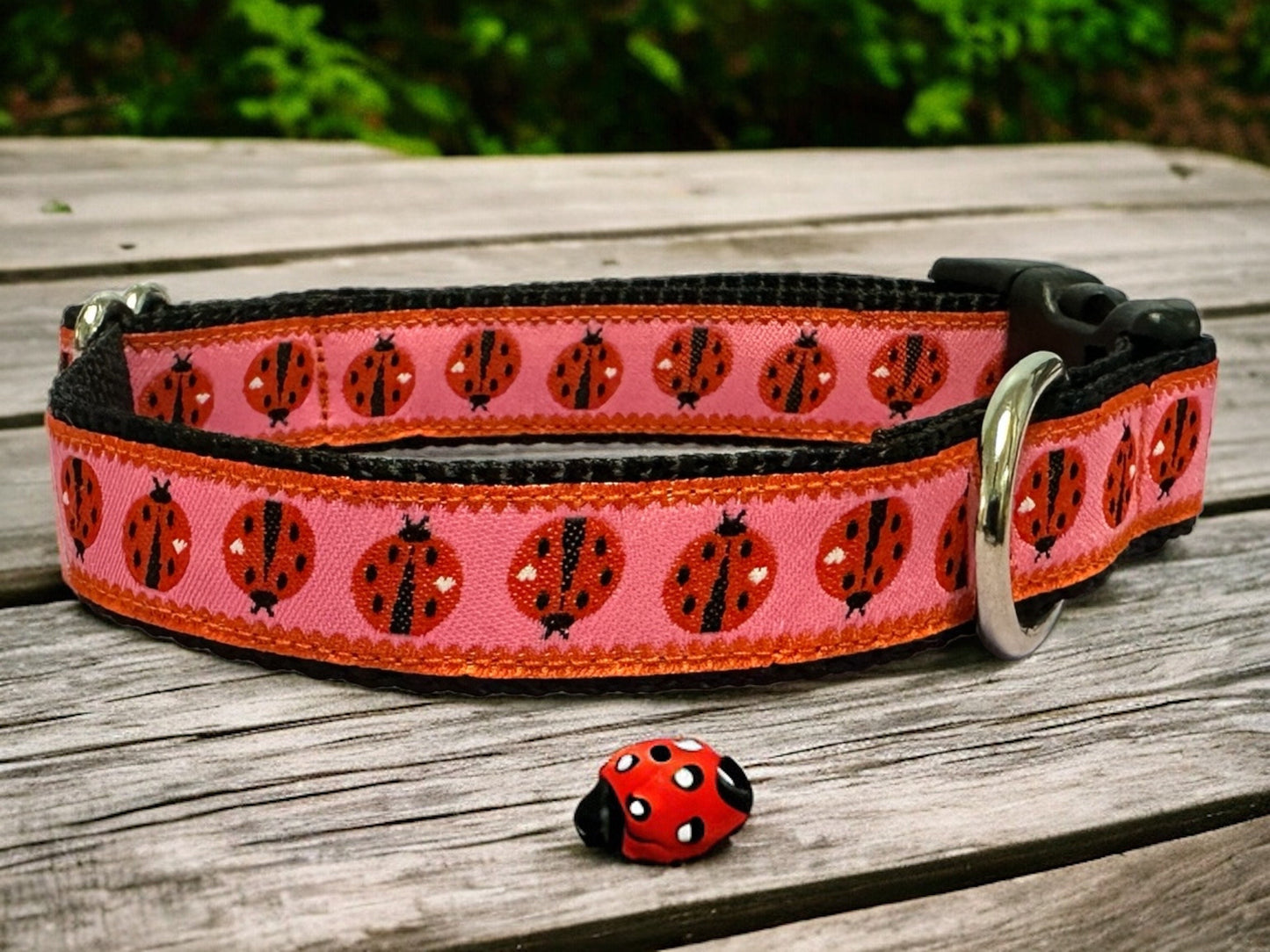 Lady Bug Dog Collar