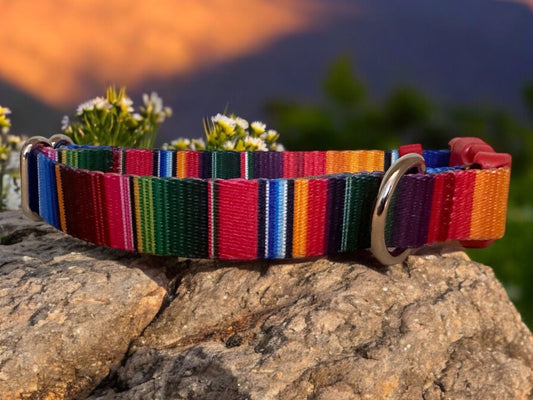 Handmade Serape Dog Collar: Mexican Stripes, Polypropylene Webbing - Winni&Me Woofwear