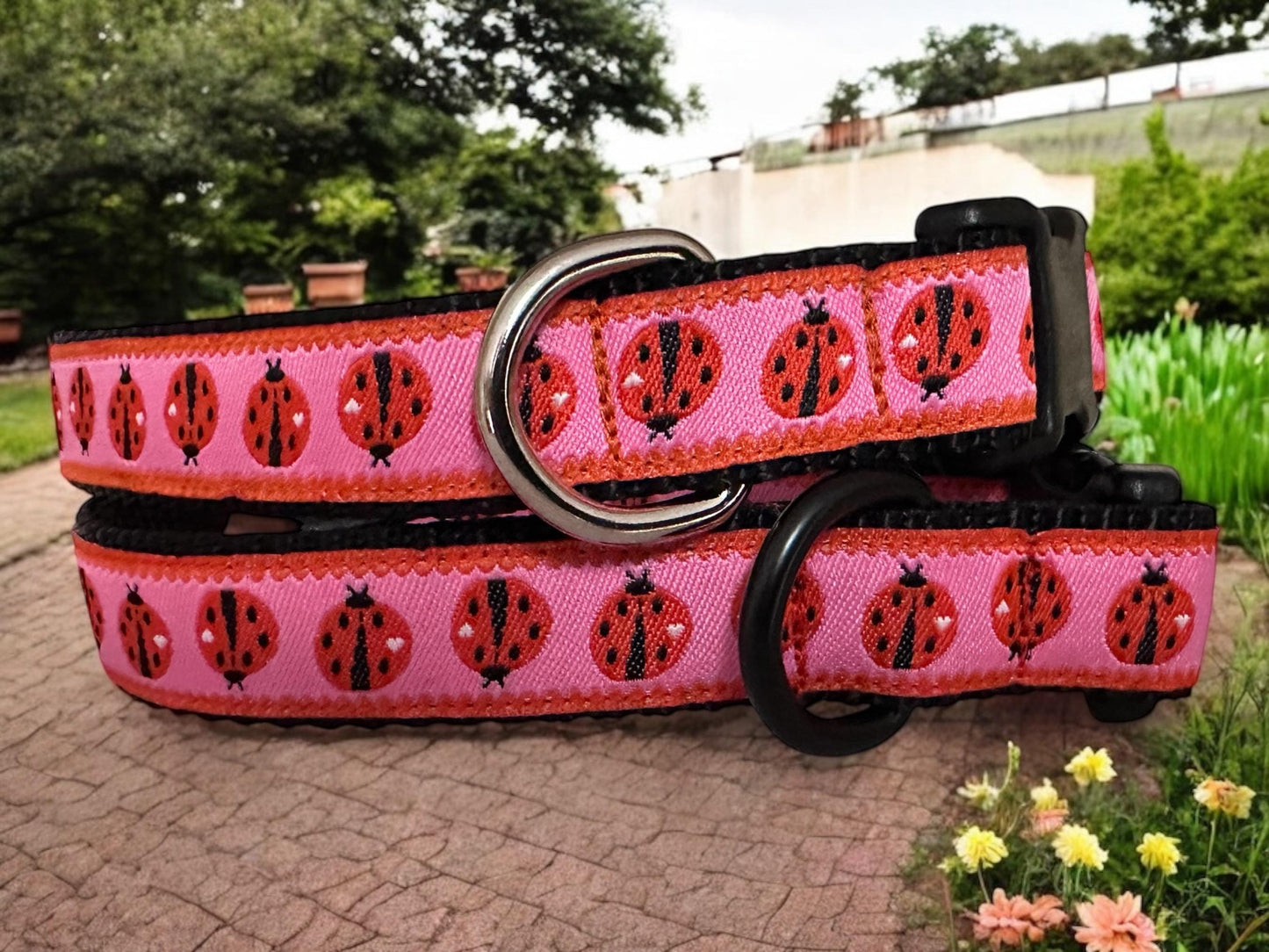 Lady Bug Dog Collar