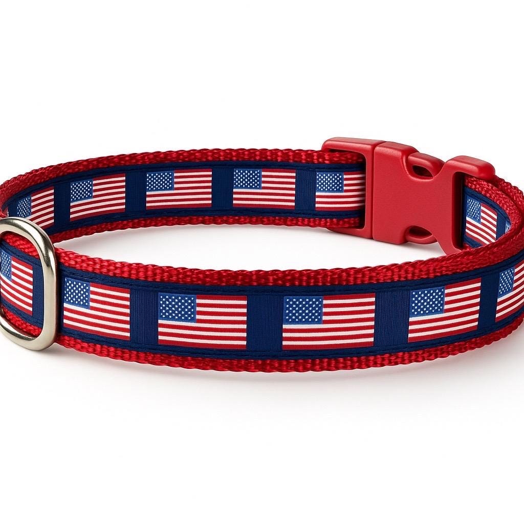 American Flag/Patriotic Dog Collar Red White and Blue - Winni&Me Woofwear