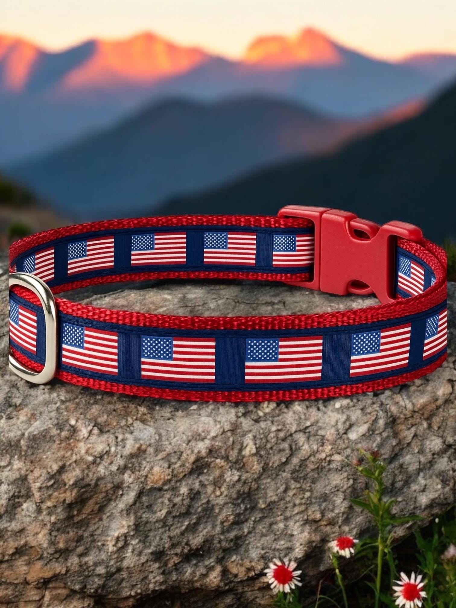 American Flag/Patriotic Dog Collar Red White and Blue - Winni&Me Woofwear