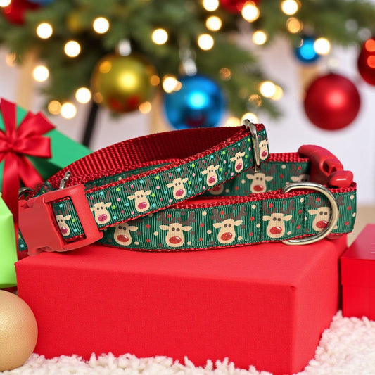 Rudolph the Red Nosed Reindeer Green Dog Collar - Winni&Me Woofwear