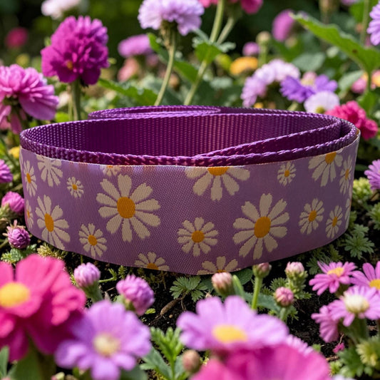 Wide Daisy Dog Collar/1.5 inch Width - Winni&Me Woofwear