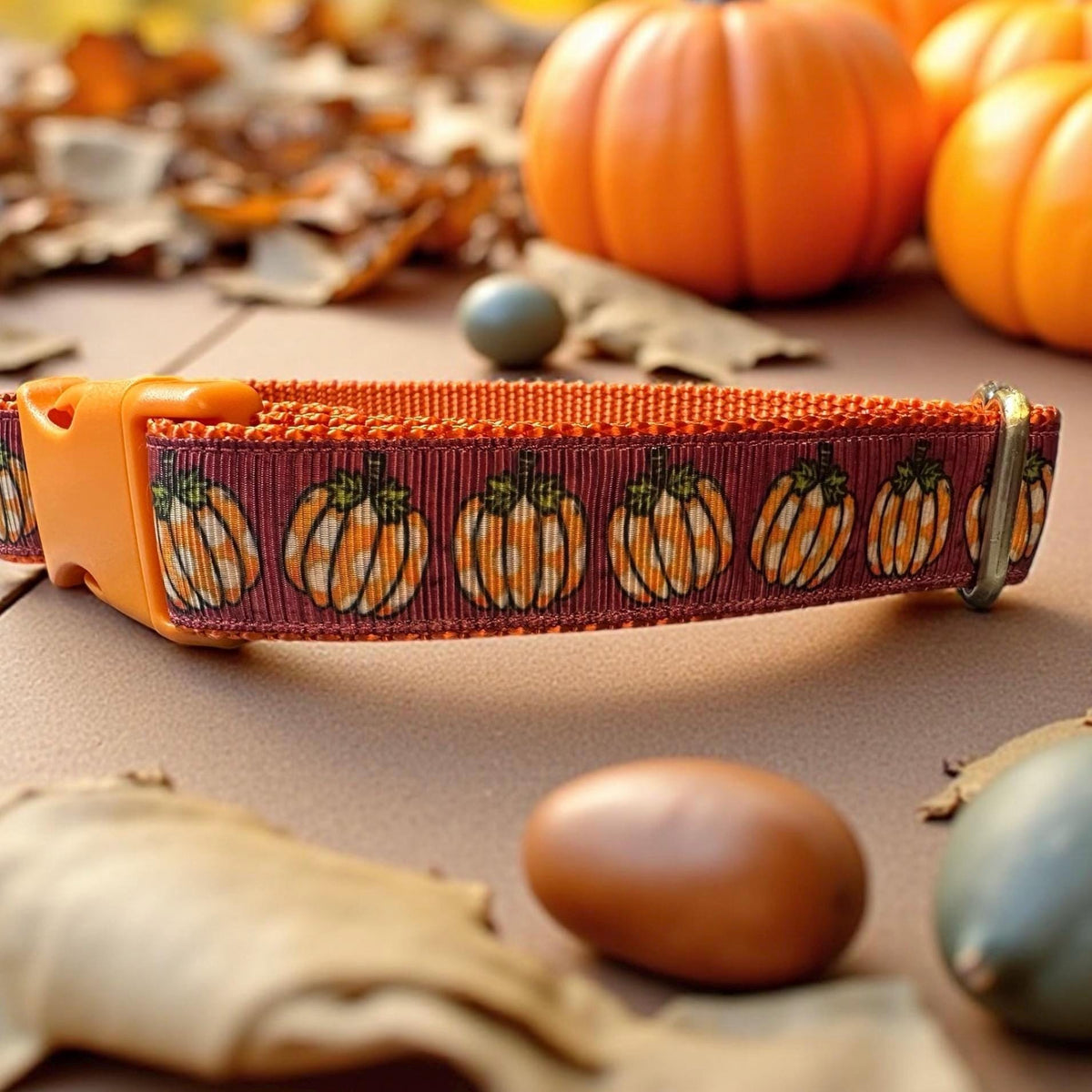 Pumpkin Patch Dog Collar/Fall Pumpkins/Autumn Accessories - Winni&Me Woofwear