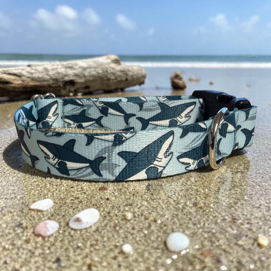 Shark Attack Dog Collar - Dog Collars - Winni&Me Woofwear