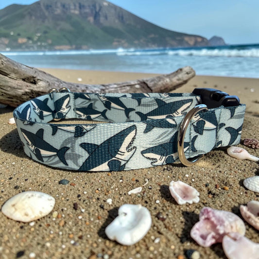 Shark Attack Dog Collar - Dog Collars - Winni&Me Woofwear