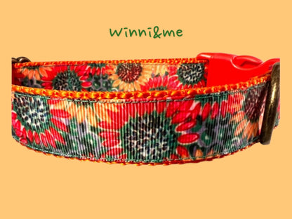 SunFlowers Dog Collar 1.5 Wide - Dog Collars - Winni&Me Woofwear