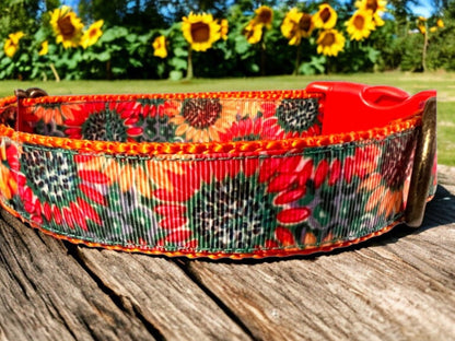 SunFlowers Dog Collar 1.5 Wide - Dog Collars - Winni&Me Woofwear