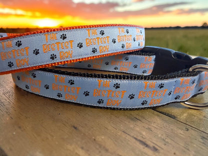 The Bestest Boy Dog Collar - Winni&Me Woofwear