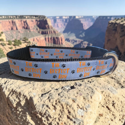 The Bestest Boy Dog Collar - Winni&Me Woofwear